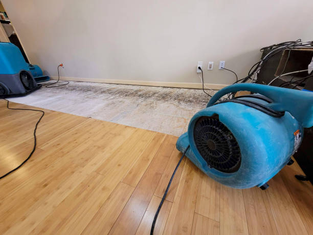 Professional Water Extraction technician working in La Crosse, KS